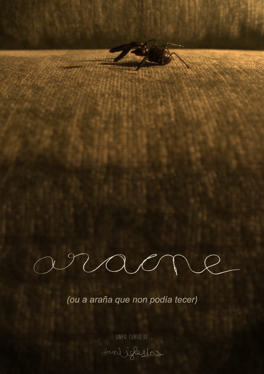 Poster  (Aracne (ou a araña que non podía tecer))